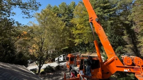 Crane Tree Removal Service in Cashiers, NC (1)