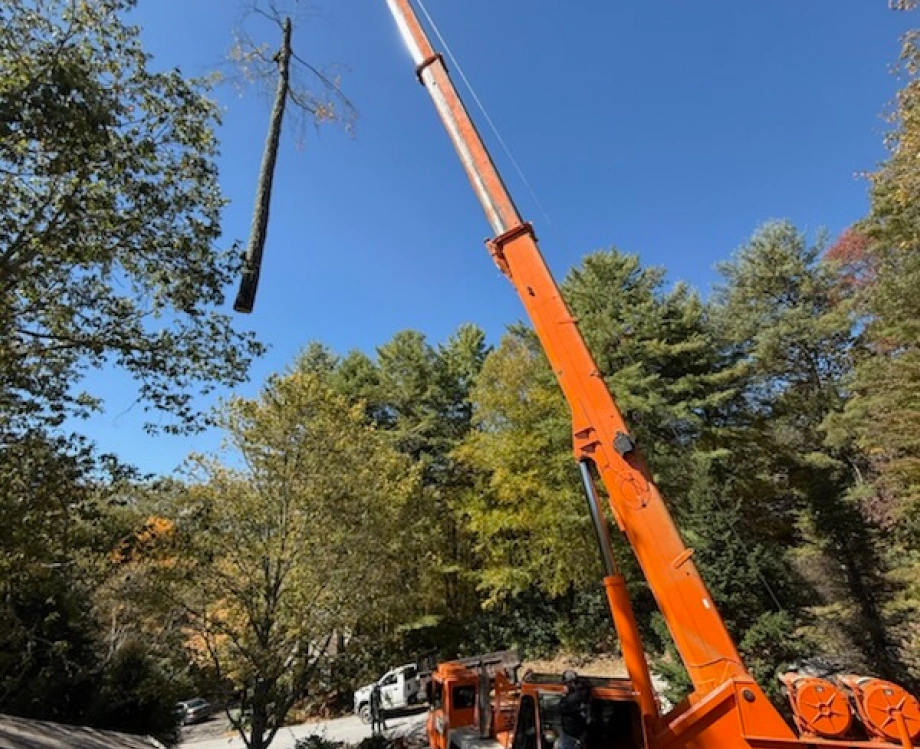 Crane Tree Removal Service in Cashiers, NC