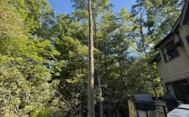 Tree Service Company in Cashiers, NC (3)