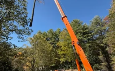 Tree Service Company in Cashiers, NC (4)